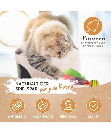 Kasparino Cat Toy Fishing Set 2.0 | Interactive Durable Cat Toys with Springs Bird & Suction Cup | Includes Catnip for Self-Employment Fun - Buy Online on GoSupps.com