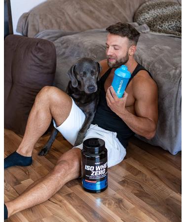 Biotech Iso Whey Zero - 2.0 lbs Vanilla Protein Powder - Buy Online on GoSupps.com