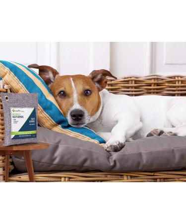 Breathe Green Bamboo Charcoal Odor Eliminator Bag (4-Pack) - Activated Charcoal Absorber for Home, Pets, Car, Closet, Basement, RV - Natural Freshener, Removes Odors and Moisture - Buy Online on GoSupps.com