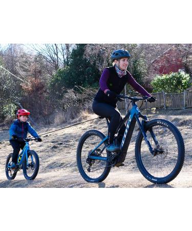 Buy TRAX Pro Towing System - Versatile Bicycle & E-Bike Trailer for International Shipping - Buy Online on GoSupps.com