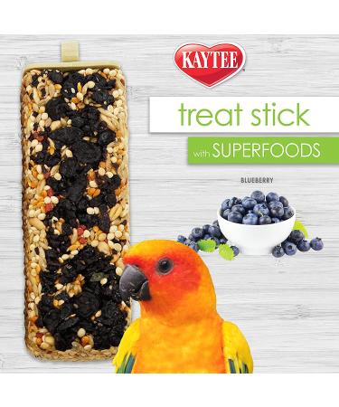 Kaytee Blueberry Avian Treat Stick 5.5 oz - Superfood Bird Treat (1 Pack) - Buy Online on GoSupps.com