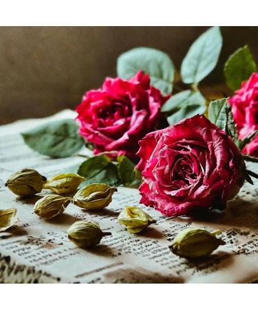 Obsidian Rose Cardamom Perfume for Women. 15 ml - Buy Online on GoSupps.com