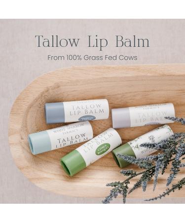 Organic Unscented Tallow Lip Balm - Hydrating Grass Fed Jumbo Size 0.5 oz | Sustainable Packaging - Buy Online on GoSupps.com