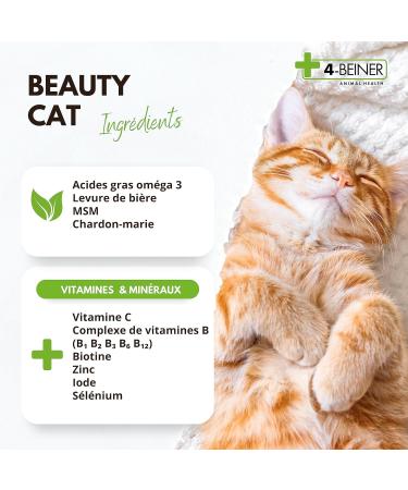 4-BEINER Beauty-Cat: Shiny Coat Vitamins for Cats with Omega 3 MSM Vitamin B Complex Vitamin C Biotin Milk Thistle Brewer's Yeast Zinc Selenium 90 g Powder - Buy Online on GoSupps.com