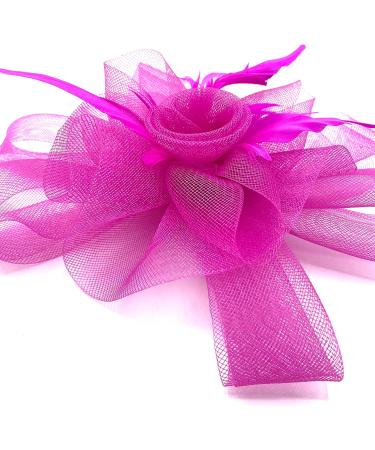 Hot Pink Fascinator Ladies Feather Beak Clip Fascinator / Headband Weddings Races Royal Ascot Hair Piece - Buy Online on GoSupps.com
