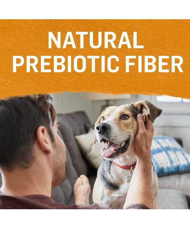 Purina Beyond Grain Free Wet Dog Food in Gravy - Chicken & Sweet Potato, 12.5 oz Cans (12-Pack) - Buy Online on GoSupps.com