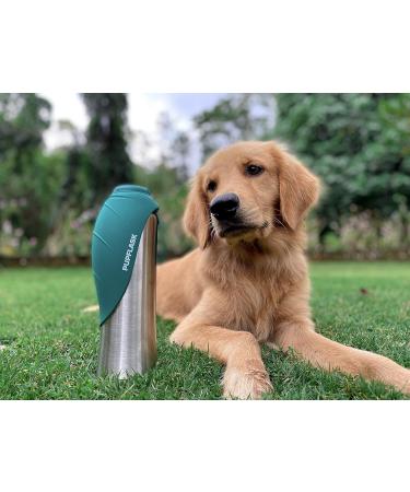 Puflask Large Dog Water Bottle - 800/1200 ml Stainless Steel | Portable & Leak Proof Pet Dispenser | Ideal Travel Bowl for All Breeds - Quetzal Green 40 Oz - Buy Online on GoSupps.com