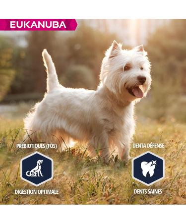 Eukanuba Dog Dry Food West Highland Terrier Chicken 2.5kg - Buy Online on GoSupps.com