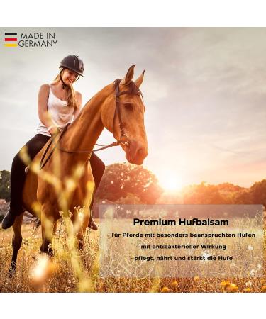 Gustav Optenplatz Premium Hufbalsam for Horses | Daily Hoof Care & Healthy Growth | 500ml Huffett & Ointment Against Cracked Hooves - Buy Online on GoSupps.com