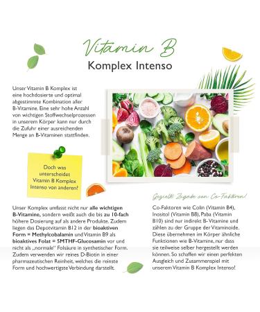 Premium Vitamin B Complex Intense - 180 Vegan Capsules | Bio-Active Forms & Quatrefolic | 6-Month Supply | Higher Potency & Essential Co-Factors - Buy Online on GoSupps.com