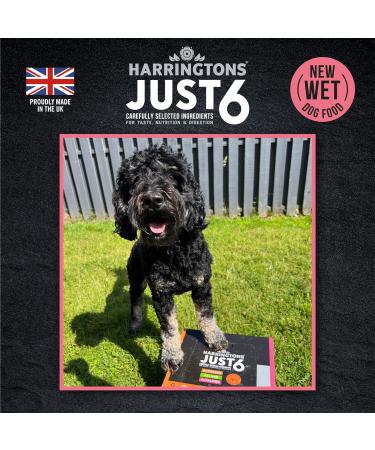Harringtons Just 6 Complete Grain Free Hypoallergenic Salmon & Veg Wet Adult Dog Food 380g (Pack of 8) - In A Tasty Gravy Salmon 380 g (Pack of 8) - Buy Online on GoSupps.com