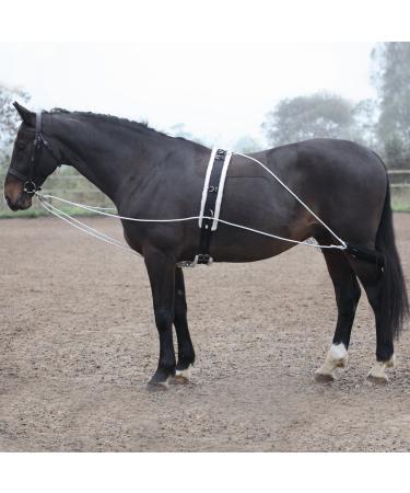 Shires Lunging Aid One Size Black - Buy Online on GoSupps.com