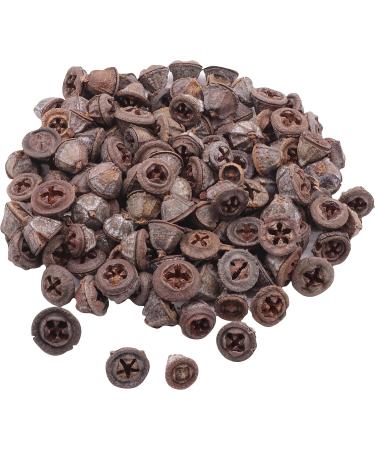 Eucalyptus Seed Pods | 240g Bag | Approx. 120 Pieces | 1.5-3cm | Natural Decor, Crafts - Buy Online on GoSupps.com