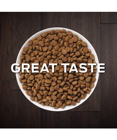 Purina Pro Plan EN Gastroenteric Naturals Feline Dry Cat Food - 6 lb Bag - Buy Online on GoSupps.com