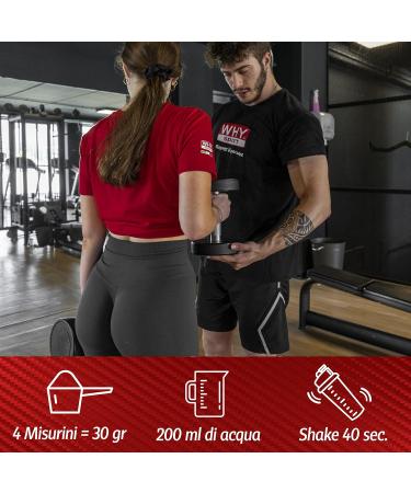 WHY SPORT EGG Protein Powder - 100% Lactose-Free Egg Albumin - Cocoa Flavor - 750g - Premium International Shipping - Buy Online on GoSupps.com