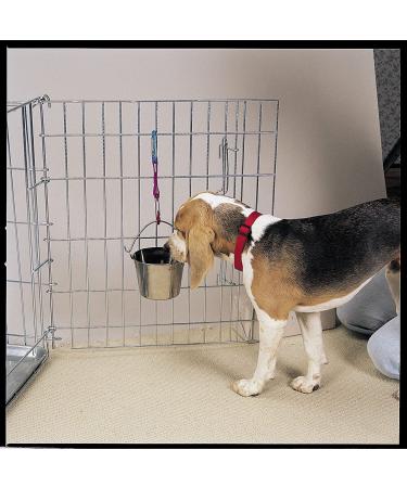 ProSelect 2-Quart Stainless Steel Flat Sided Pet Pail - Durable and Rust-Resistant - Buy Online on GoSupps.com