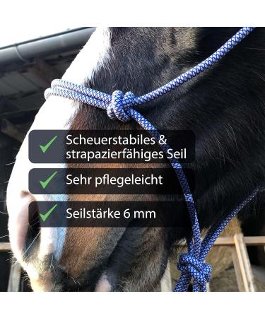 Premium Knothalter for Floor Work - COB Knot-Halter for Free Work & Training | Royal Blue-White - Buy Online on GoSupps.com