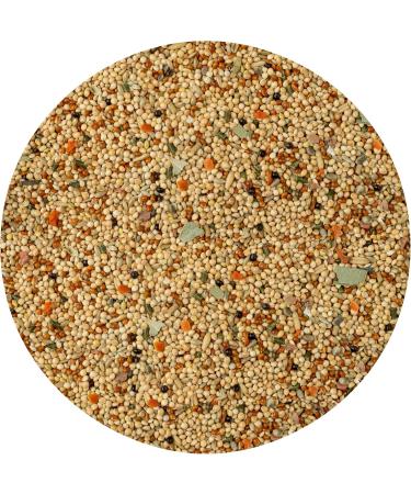 Vitastropic Sittich Pearl Budgie Feed - Premium High-Quality Seeds & Sun-Ripened Grains - Enriched with Herbs - 2-Pack (500g Each) - Buy Online on GoSupps.com