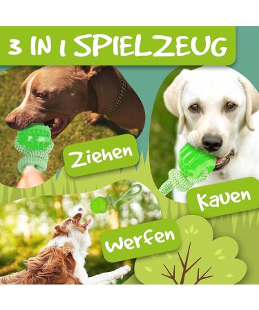 Rootnoot Neon Green Throwing Ball with Rope for Dogs | Eco-Friendly Fetch Toy | Track & Train Your Dog with Stable Design - Buy Online on GoSupps.com