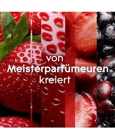 Glade Long-Lasting Scented Candle - Bubbly Berry Splash Pack of 4 (4x224g) | Shop Internationally - Buy Online on GoSupps.com