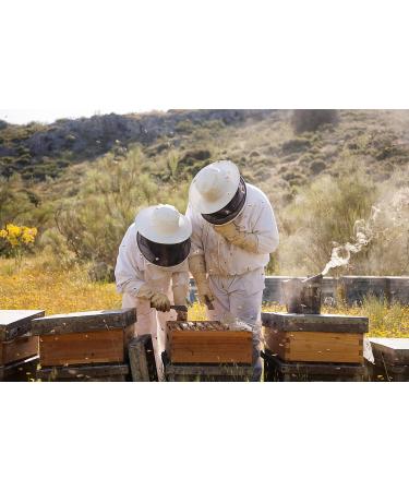 Mielinizate Rosemary Honey 130g - Buy Online on GoSupps.com