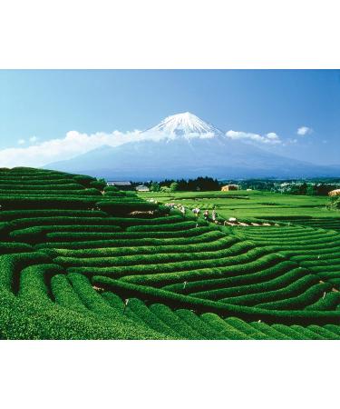 Rooibos Des Vahins Tea Bags - 20 Count | Buy Online - Buy Online on GoSupps.com