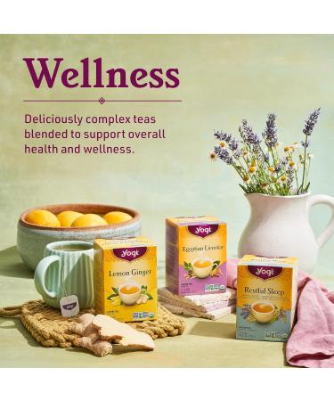 Yogi Tea - Green Tea Kombucha (3 Pack) - Contains Caffeine - Organic Tea - 48 Tea Bags - Buy Online on GoSupps.com