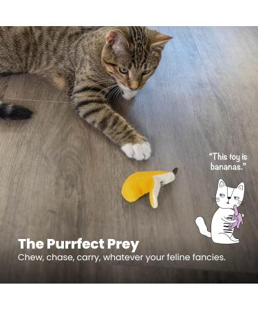 Petstages Dental Banana Cat Toy with Catnip - Chewing & Dental Care for Cats - Buy Online on GoSupps.com