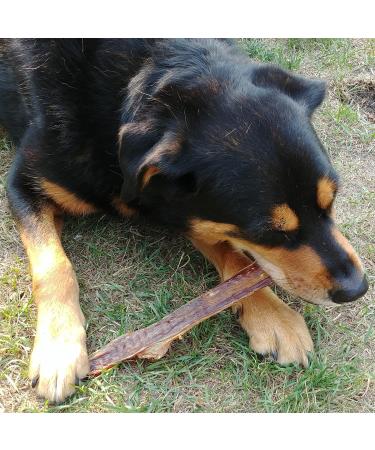 Burgham Beef Gullet Strips for Dogs & Puppies - Natural Dog Treats for Large or Medium Dogs - Oral Health Friendly Dog Chews - 12 Inches (10 Pack) - Buy Online on GoSupps.com