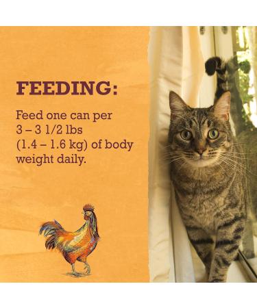 Beyond Wet Cat Food Chicken & Sweet Potato Pate - 85 g Can (12 Pack) - Buy Online on GoSupps.com