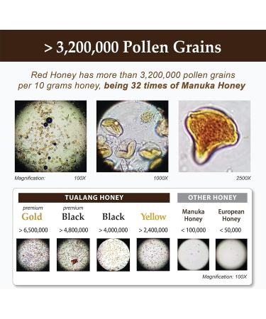 Health Harvest Tualang Red Honey 50g TA 10+ Pollen Count 32M+ Pollen Variety 100+ Moderate Choice for Health Preservation Raw Unpasteurized Unfiltered - Buy Online on GoSupps.com