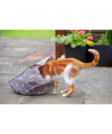 Petface Angry Mouse Cat Crinkle Bag - Grey Crinkle Bag for Endless Fun - Buy Online on GoSupps.com
