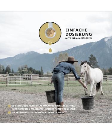 Peticare Vital Senior Powder Blend for Horses | Stimulates Vitality & Mobility in Seniors | Vegetable Ingredients with L-Leucine MSM | For Senior Horses & Aged Ponies | petHorse Health 4603 - Buy Online on GoSupps.com