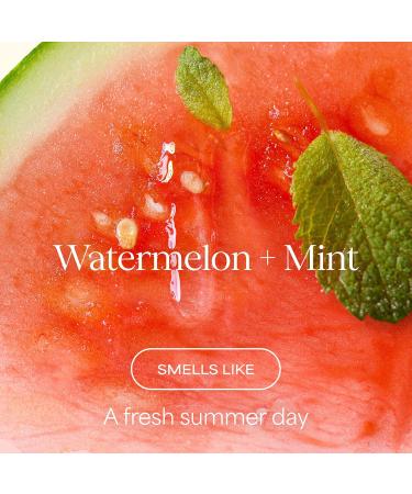 RAW SUGAR Watermelon Mint Refresh Hand Wash 12 Fl Oz (Pack of 4) Liquid Hand Soap for Kitchen or Bathroom Cleanses & Refreshes Hands Vegan Formulated without SLS/SLES & Parabens - Buy Online on GoSupps.com