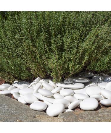 Kalapanta Decoration Stones - Recycled Plastic for Vases Aquariums & Gardens | 95 White Stones ( 5-8 cm) - Eco-Friendly Home Decor - Buy Online on GoSupps.com