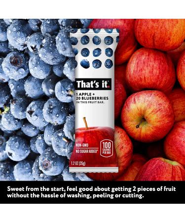 Apple Blueberry Fruit Bar | High Fiber Vegan Snack | Gluten Free Paleo | Non GMO | No Sugar Added | Energy Food (12 Pack) - Buy Online on GoSupps.com