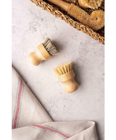ARYA. | Eco Dish Brush Set | 4 Kitchen Washing Up Brushes & One Replacement Head | Bamboo & Natural Fibers | Eco Friendly Wooden Pot Brush Scourer Scrubber Sponge Alternative - Buy Online on GoSupps.com