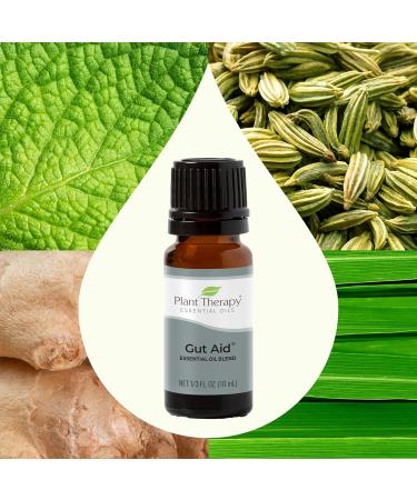 Plant Therapy Gut Aid Essential Oil Blend 10 mL - 100% Pure Natural Aromatherapy for Upset Stomach Relief - International Shipping Available - Buy Online on GoSupps.com