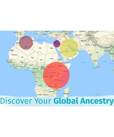 Vitagene Health Ancestry DNA Test Kit - Personal Genetic Reports & Traits with Lifetime Updates - FSA HSA Eligible - Buy Online on GoSupps.com
