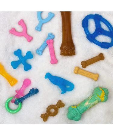 Nylabone Puppy Teething Chew Toy X-Small/Petite - Blue Chicken Flavored for Puppies Up to 15 lbs - Buy Online on GoSupps.com