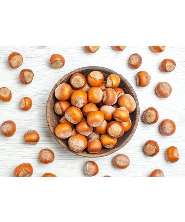Organic Dry Roasted Blanched Hazelnuts 4 lbs - Non-GMO, Himalayan Salt, Vegan Snack - Kosher, Bulk Filberts - Buy Online on GoSupps.com