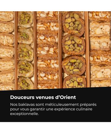 Baklavas 750 g 68 Pieces I Assortment of Baklavas with pistachios and cashews I Elegant gift box I No preservatives no addit - Buy Online on GoSupps.com