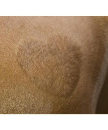 Kerbl 321900 Shearing Template for Horses - Set of 3 | International Shipping Available - Buy Online on GoSupps.com