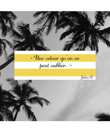 GIORGIO BEVERLY HILLS 2 PCS SET: 3 OZ SP - Buy Online on GoSupps.com