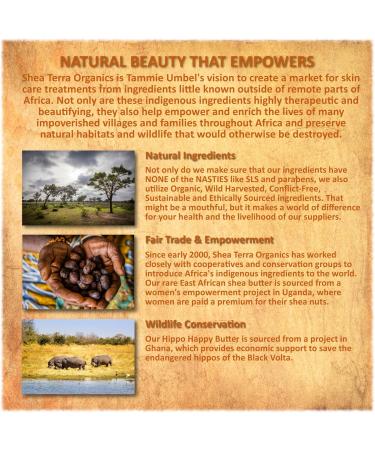 Shea Terra Organics Mama and Baby Collection | Mama's Gold Stretch Mark Oil | Non-Toxic All-Natural Maternity & Postpartum Care | 8oz Stretch Mark Prevention & Skin Repair - Buy Online on GoSupps.com