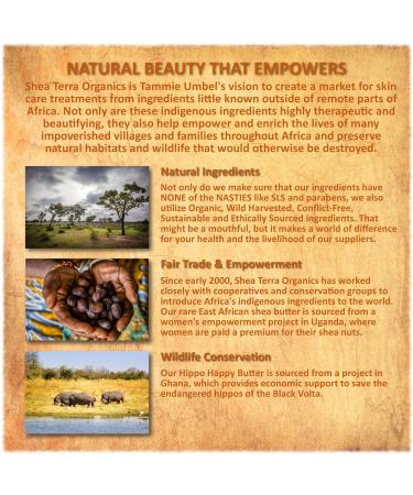 Shea Terra Kigelia Age Defense Collection - Natural Anti-Aging Clearing Face Mask with Mussiro & White Clay for Clear Bright Skin - 5oz - Buy Online on GoSupps.com