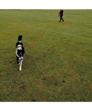 Pettom Drag Line for Dogs - Robust 6m/10m/15m Leash with Padded Handle | Durable Nylon Training Line | Perfect for Cross-Country Adventures - Buy Online on GoSupps.com