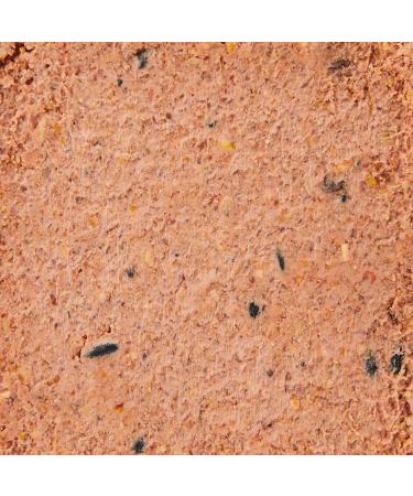 Garden Ting Berry Suet Block Wild Bird Treat 6 x 300g - Buy Online on GoSupps.com