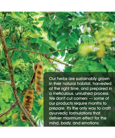 Maharishi Ayurveda Aller-Defense Herbal Supplement - 60 Tablets | Supports Natural Immunity & Manages Allergens | Eliminates Toxins & Balances Immune System - Buy Online on GoSupps.com