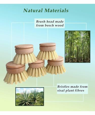 Eco-Friendly Dish Brush Replacement Heads - 5 Pieces Natural Sisal Hemp and Beech Wood Scrubbing Brushes - Buy Online on GoSupps.com